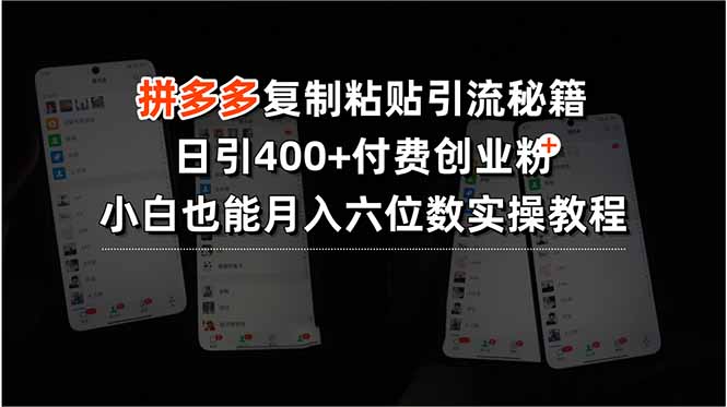 拼多多复制粘贴引流秘籍，日引400+付费创业粉，小白也能月入六位数实操... - 中创网