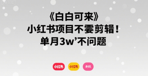 小白可来 小红书项目不需要剪辑 单月3w不是问题 - 冒泡网赚
