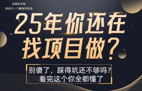 25年，你还在疯狂的找项目吗？别傻了，看完这个你都懂了 - 冒泡网赚