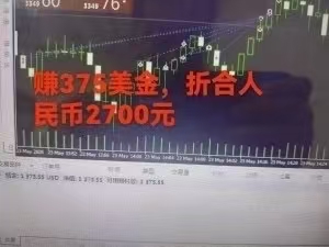 稳定8年的美刀搬砖项目，单人每日收益800—3000.团队4人月入10W+.可线下