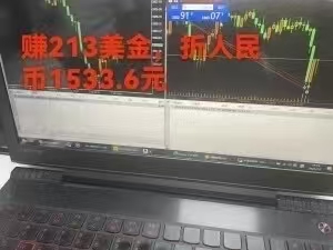 稳定8年的美刀搬砖项目，单人每日收益800—3000.团队4人月入10W+.可线下