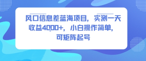 风口信息差蓝海项目，实测一天收益4k+，小白操作简单，可矩阵起号 - 冒泡网赚
