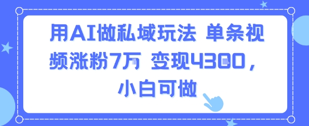 用AI做私域玩法，单条视频涨粉7W变现4.3k，小白可做 - 冒泡网赚