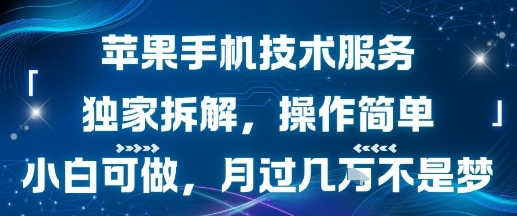 苹果手机技术服务，独家拆解，操作简单，小白可做，月过1W不是梦 - 冒泡网赚