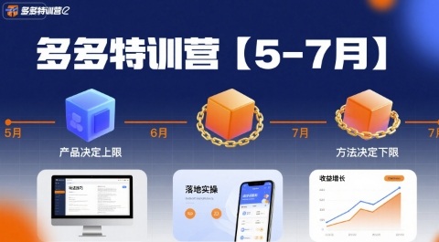 多多特训营【5-7月】产品决定上限，方法决定下限，各种玩法技巧落地实操 - 冒泡网赚