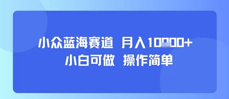 小众蓝海赛道，小白可做，操作简单，每天30分钟，月入1W+ - 冒泡网赚