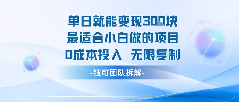单日就能变现3张最适合小白做的项目0成本投入 无限复制 - 冒泡网赚