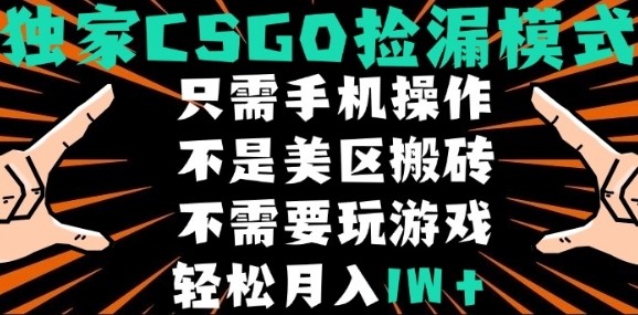 CSGO自动捡漏项目，最新独家玩法，不是美区搬砖，不需要了解和玩游戏，新手小白轻松月入1W+ - 冒泡网赚