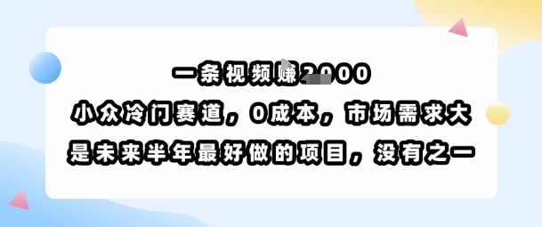 一条视频挣1k，小众冷门赛道，0成本，市场需求大，是未来半年最好做的项目，没有之一 - 冒泡网赚