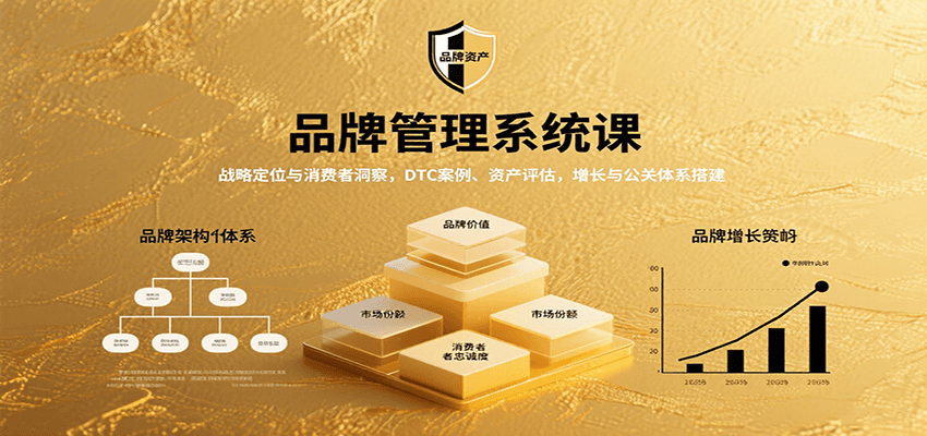 品牌管理系统课：战略定位与消费者洞察，DTC案例、资产评估，增长与公关体系搭建 - 福缘创业网