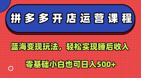 拼多多开店运营课程：蓝海变现玩法，轻松实现睡后收入，零基础小白也可日入5张 - 冒泡网赚