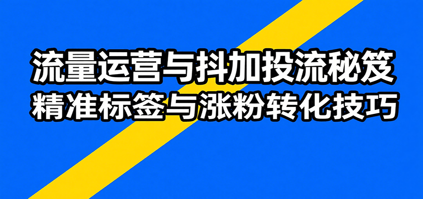 流量运营与抖加投流秘笈，含算法解析、爆款打造、精准标签与涨粉转化技巧 - 福缘创业网
