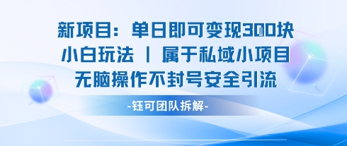 新项目单日即可变现3张的小白玩法无脑操作不封号安全引流 - 冒泡网赚