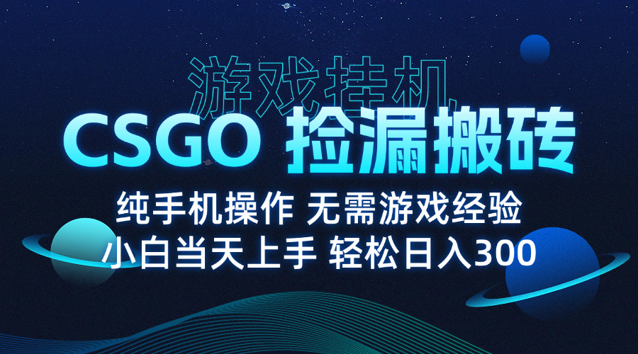 8月最新游戏搬砖，CSGO纯挂机，不需要玩游戏，实现真挂机，月入1W+ - 中创网