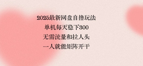 2025最新网盘自撸玩法，单机每天稳下3张，无需流量和拉人头，一个人就可轻松矩阵，全网独一份 - 冒泡网赚