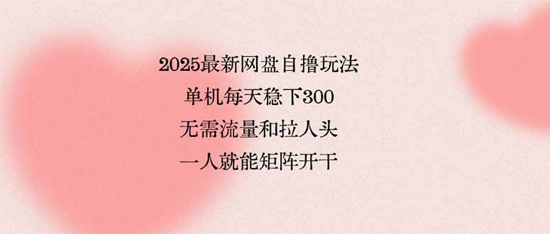 2025最新网盘自撸玩法，单机每天稳下3张，无需流量和拉人头，一个人就... - 中创网