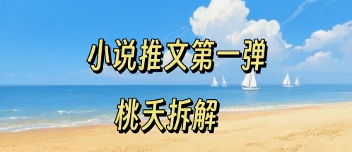 小说推文项目操作全流程第一弹，0粉就能做，门槛低非常适合新手 - 冒泡网赚
