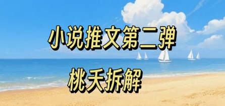 小说推文项目操作全流程第二弹，0粉就能做，门槛低非常适合新手 - 冒泡网赚