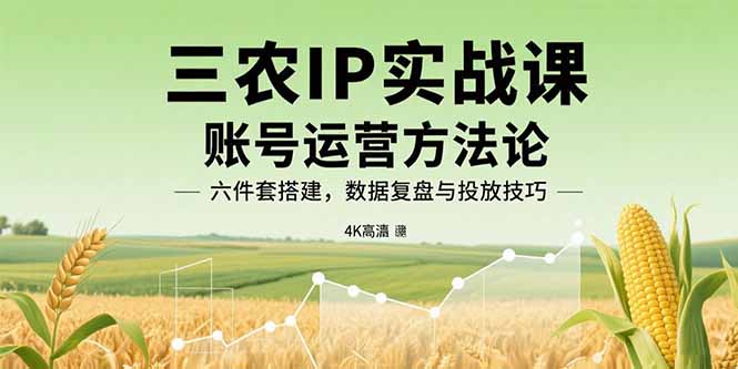 三农IP实战课：账号运营方法论，六件套搭建，数据复盘与投放技巧 - 中创网