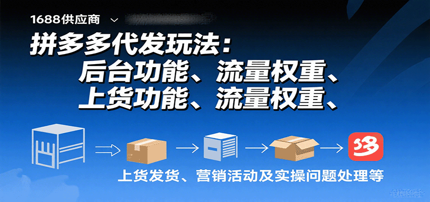 拼多多代发玩法:后台功能、流量权重、上货发货、营销活动及实操问题处理等-紫橙网创项目网