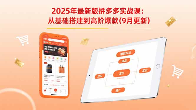 2025年最新版拼多多实战课：从基础搭建到高阶爆款（9月更新） - 中创网