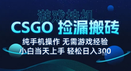 8月最新游戏搬砖，CSGO纯挂G，不需要玩游戏，实现真挂G，月入1W+ - 冒泡网赚