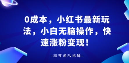 0成本，小红书最新玩法，小白无脑操作，快速涨粉变现 - 冒泡网赚