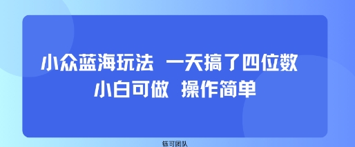 小众蓝海玩法 一天搞了四位数 小白可做 操作简单 - 冒泡网赚
