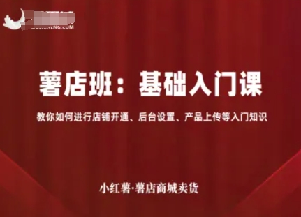 小红薯薯店商城卖货，基础入门课，教你如何进行店铺开通、后台设置、产品上传等入门知识 - 冒泡网赚