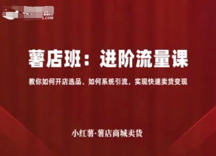 小红薯薯店商城卖货，进阶流量课，教你如何开店选品、如何系统引流，实现快速卖货变现 - 冒泡网赚