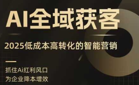 AI全域获客实训营，2025低成本高转化的智能营销，精准找客，高效营销 - 冒泡网赚