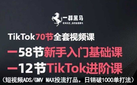 TikTok全套视频课，新手入门+进阶课，短视频ADS-GMV MAX投流打品，日销破1000单打法 - 冒泡网赚