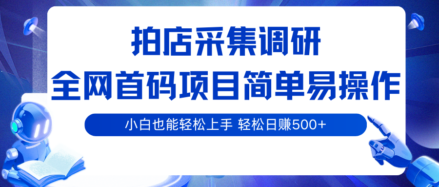 拍店采集调研,全网首码项目,简单易操作, 小白也能轻松上手,轻松日赚500+-紫橙网创项目网