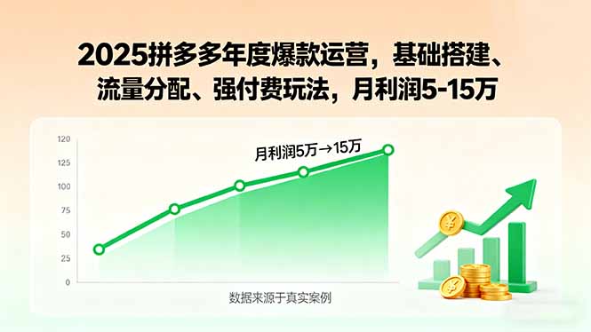2025拼多多年度爆款运营,基础搭建、流量分配、强付费玩法,月利润5-15万-紫橙网创项目网