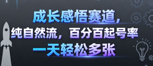 成长感悟赛道，纯自然流，百分百起号率 一天轻松多张 - 冒泡网赚