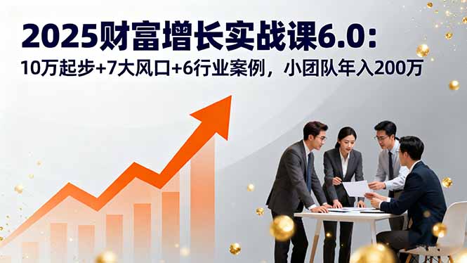 2025财富增长实战课6.0:10万起步+7大风口+6行业案例,小团队年入200万-紫橙网创项目网
