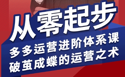 拼多多运营进阶系统课，从零起步，多多运营进阶体系课，破茧成蝶的运营之术（更新9月） - 冒泡网赚