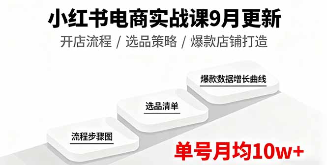 小红书电商实战课9月更新,开店流程/选品策略/爆款店铺打造,单号月均10w+-紫橙网创项目网