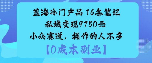 蓝海冷门产品：16条笔记私域变现9750米小众赛道，操作的人不多 - 冒泡网赚