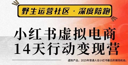 小红书虚拟电商14天变现训练营3.0,虚拟产品,2025年普通人在小红书最后的搞钱机会-紫橙网创项目网