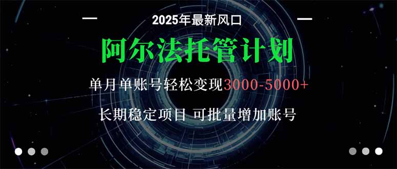 阿尔法托管计划 单账号月入3000-5000,长期稳定项目,新手小白轻松上手。-紫橙网创项目网
