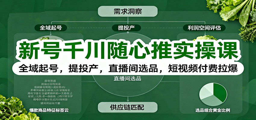 新号千川随心推实操课:全域起号,提投产,直播间选品,短视频付费拉爆-紫橙网创项目网