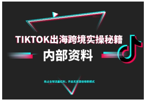 TikTok跨境电商0-1搭建运营，TK出海跨境实操秘籍（10月更新）-紫橙网创项目网