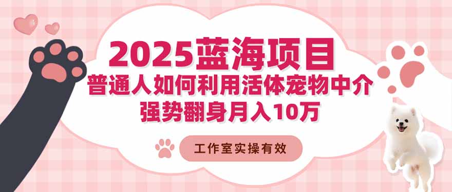 2025蓝海项目:普通人如何利用活体宠物中介,强势翻身月入10万-紫橙网创项目网