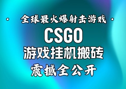【年底大揭秘】基于全球最火爆的射击CSGO游戏挂G搬砖，日入5张+，震撼公开 - 冒泡网赚