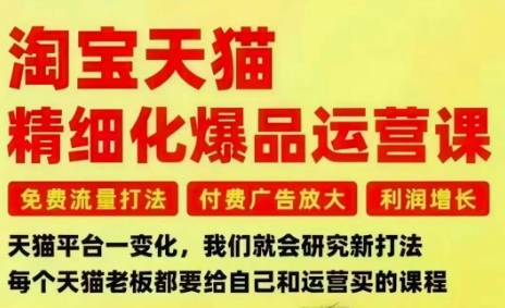淘宝天猫精细化爆品运营课，免费流量打法-付费广告放大-利润增长-三大核心痛点，一次全部解决-紫橙网创项目网