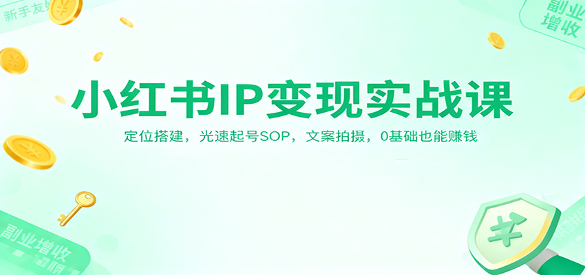 小红书IP变现实战课：定位搭建，光速起号SOP，文案拍摄，0基础也能赚钱-紫橙网创项目网