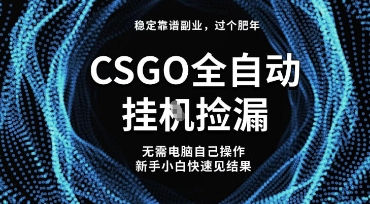 【稳定副业】全球最热门游戏CSGO全自动捡漏，最新玩法，新手小白日入5张+ - 冒泡网赚