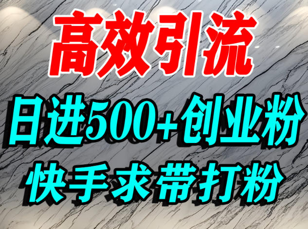 怎么打创业粉？快手求带视角精准引流创业粉，宝妈、学生群体日进500+精准流量-紫橙网创项目网