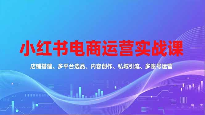 小红书电商运营实战课,店铺搭建、多平台选品、内容创作、私域引流、多账号运营等玩法-紫橙网创项目网